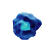 T cell