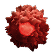 Tumor cell